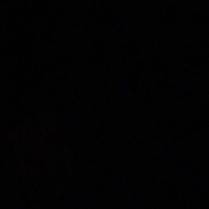 Meet your Posher, Latoya